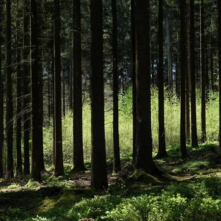 In With Garden Aywaille