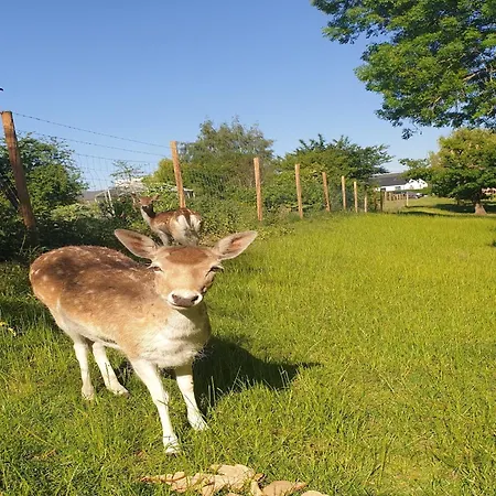 In With Garden Ferienhaus *